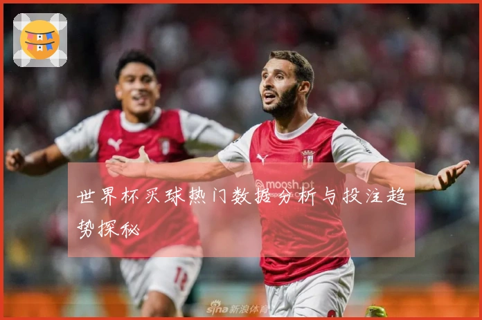 世界杯买球热门数据分析与投注趋势探秘