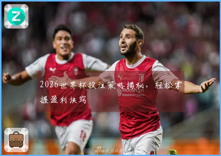 2026世界杯投注策略揭秘，轻松掌握盈利诀窍