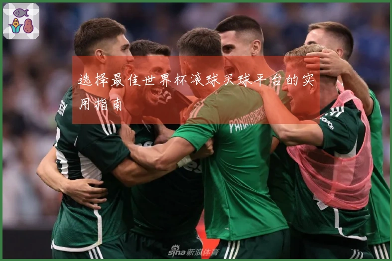 选择最佳世界杯滚球买球平台的实用指南