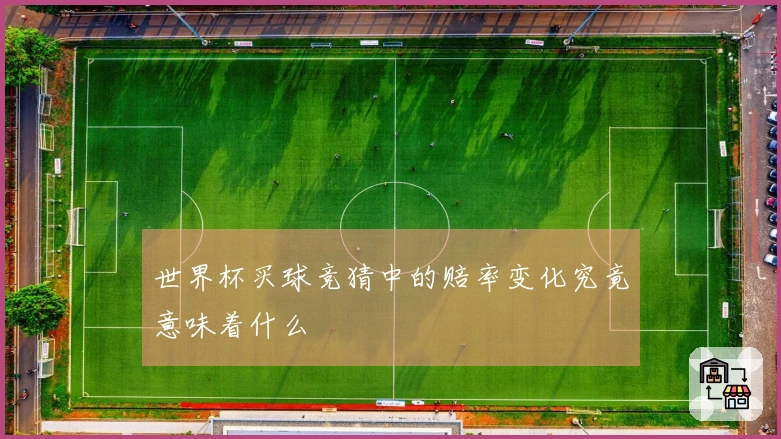 世界杯买球竞猜中的赔率变化究竟意味着什么