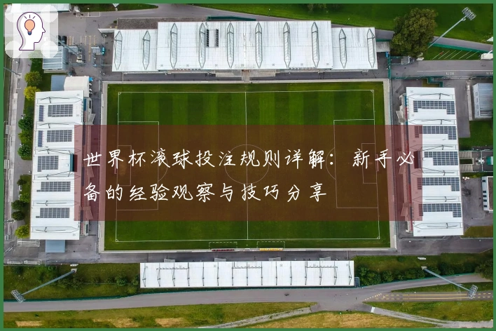 世界杯滚球投注规则详解：新手必备的经验观察与技巧分享