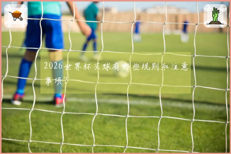 2026世界杯买球有哪些规则和注意事项？