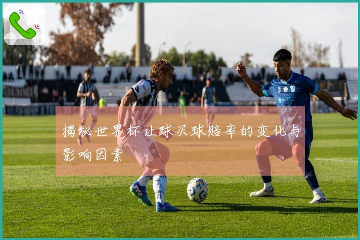 揭秘世界杯让球买球赔率的变化与影响因素