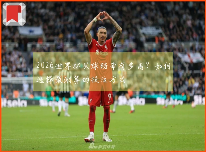 2026世界杯买球赔率有多高？如何选择最划算的投注方式