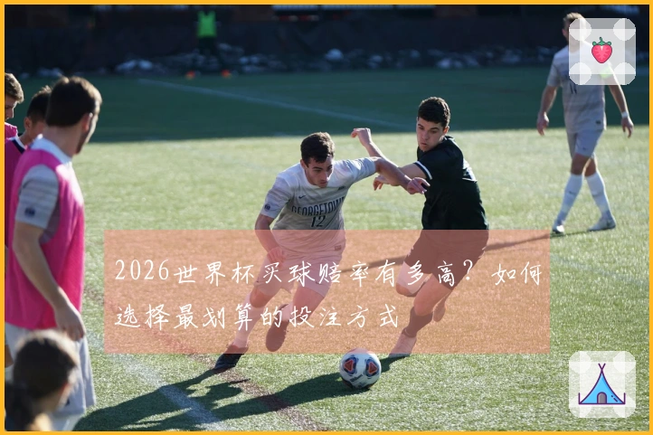 2026世界杯买球赔率有多高？如何选择最划算的投注方式